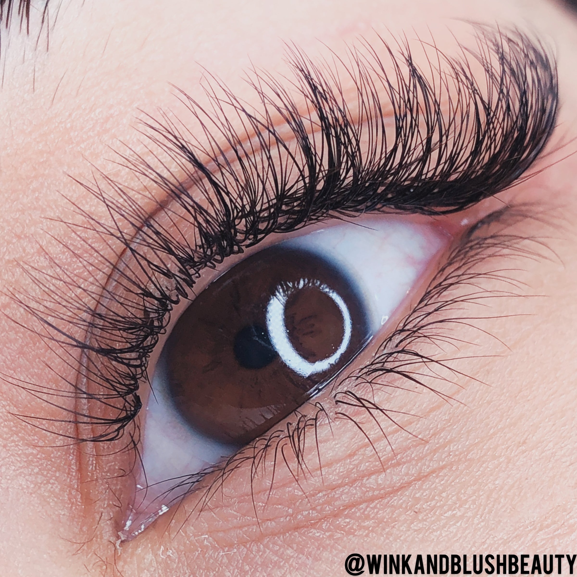 Lash Extensions  Wink and Blush Beauty